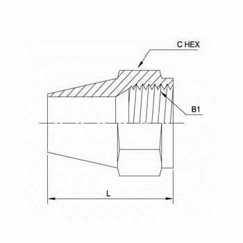 Standard Nut 0304 Series
